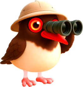 Pilpi observando con curiosidad